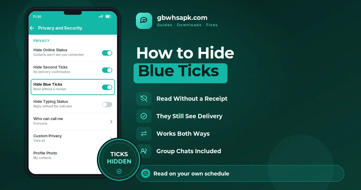 Como ocultar Blue Ticks in GB WhatsApp supporting visual